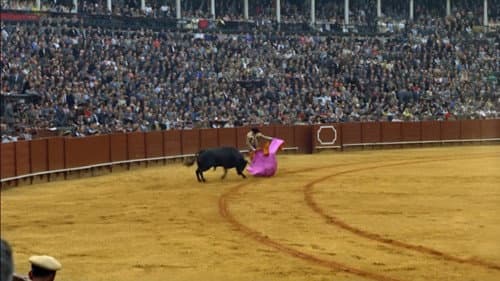 Feria en Sevilla Bild 4