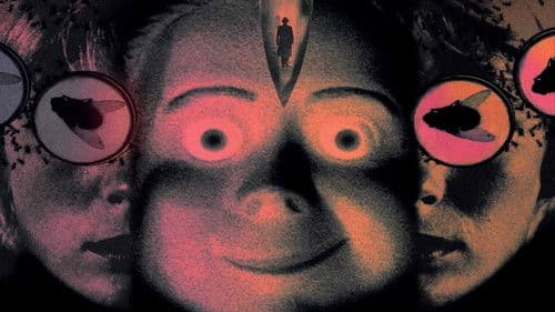 Vier Fliegen auf grauem Samt Bild 8