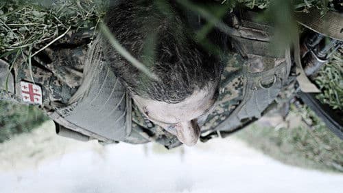 შინდისი Bild 1