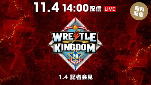 NJPW Wrestle Kingdom 20 Bild 4
