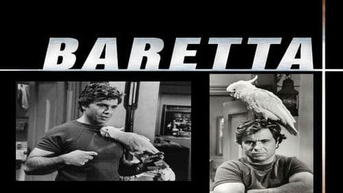 Baretta Bild 4