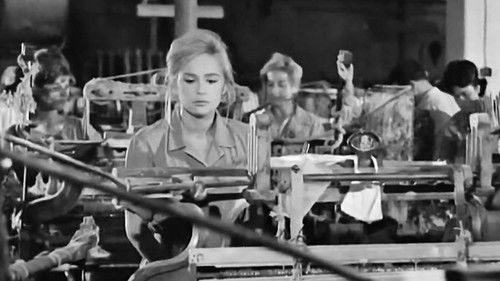 Το Ταξίδι Bild 3