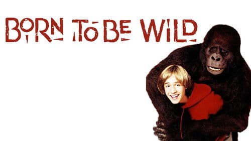 Gorilla auf der Flucht Bild 2