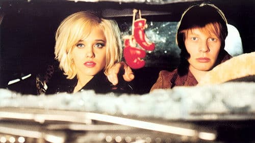 Alles nur Tarnung Bild 1