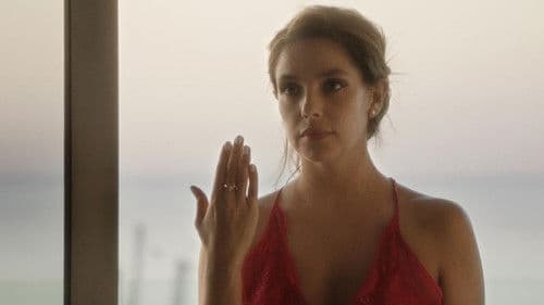 זוג יונים Bild 4