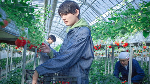 リスタートはただいまのあとで Bild 6