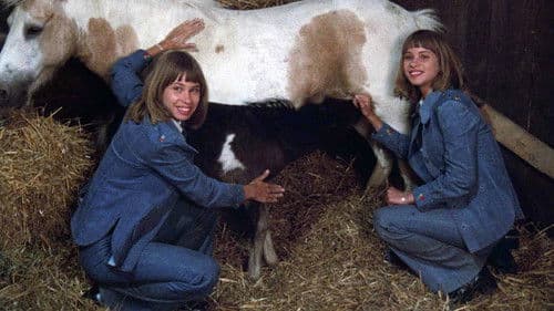 Frühling auf Immenhof Bild 3