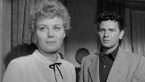 Steckbrief 7-73 Bild 4