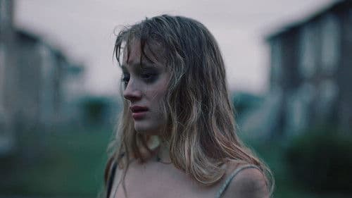 Eine Nacht in den Feldern Bild 6