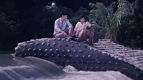 迟到的春天 Bild 1