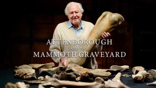 David Attenborough und der Mammut-Friedhof Bild 1