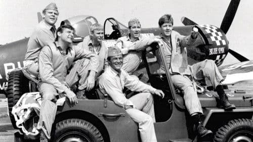 Pazifikgeschwader 214 Bild 7