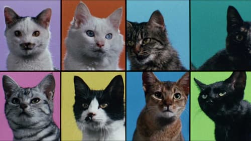 公園通りの猫たち Bild 1