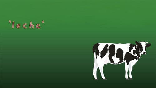 Leche Bild 2