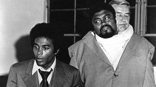 Das Ding mit den 2 Köpfen Bild 1