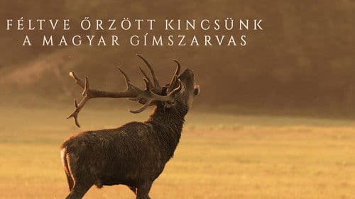 Féltve őrzött kincsünk, a magyar gímszarvas Bild 1