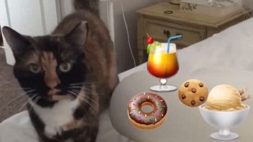 The Adventures of Murphy the Cat #7 Bild 1