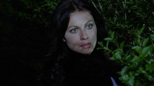 Girolimoni, das Ungeheuer von Rom Bild 2