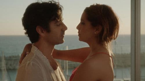 זוג יונים Bild 3