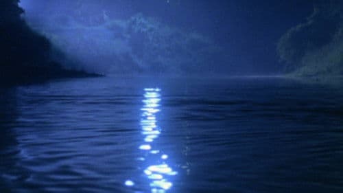 水の中の八月 Bild 4