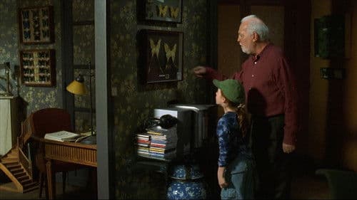 Der Schmetterling Bild 5