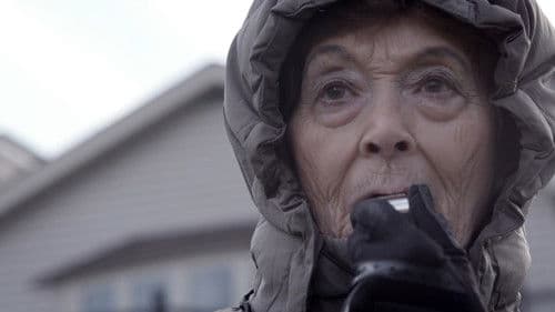 The Golden Record Bild 4