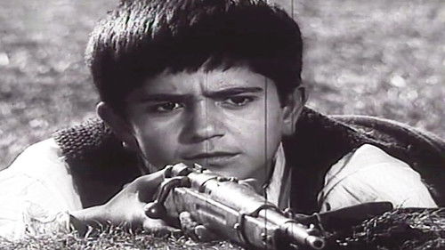 Lugina e pushkatarëve Bild 1