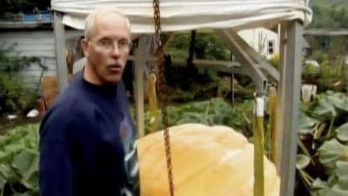 Lords of the Gourd Bild 2