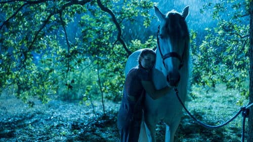 Silverstar - Eine Freundschaft für die Ewigkeit Bild 8