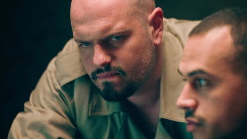 Haita de acțiune Bild 2