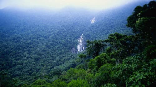 Abenteuer Dschungel Bild 2