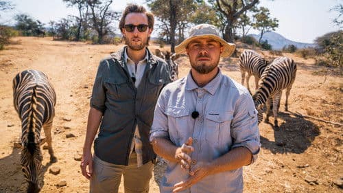 I Sydafrika går det godt Bild 1