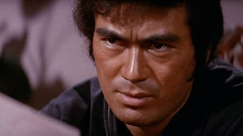 Der Wildeste von allen Bild 8