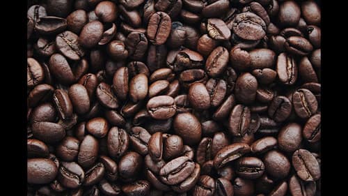 The Lonely Hearts Café Bild 2