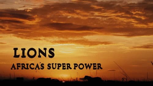 Lions: Africa's Super Power Bild 2