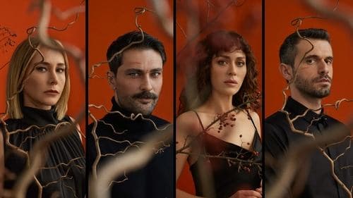 Sarmaşık Zamanı Bild 1