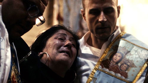 Anatomia del miracolo Bild 1