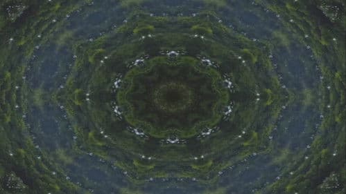 Fleshworm Dreams Bild 2