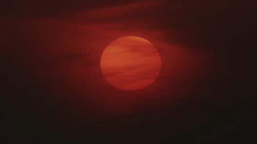 Die blinde schwertschwingende Frau Bild 5