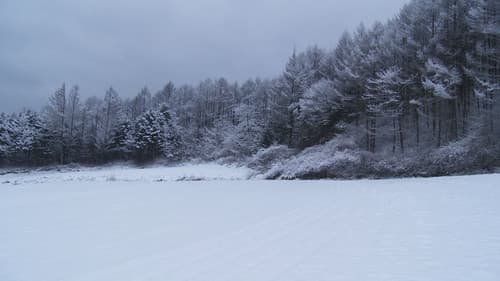 레바논 감정 Bild 3