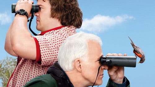 Ein Jahr vogelfrei! Bild 6