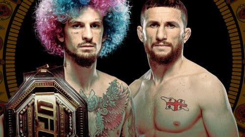 UFC 306: O'Malley vs. Dvalishvili Bild 4