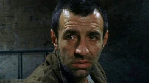 Paviljon broj VI Bild 1