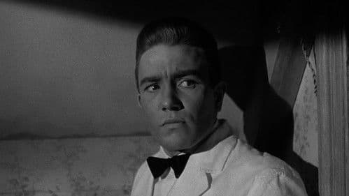 Griff aus dem Dunkel Bild 5