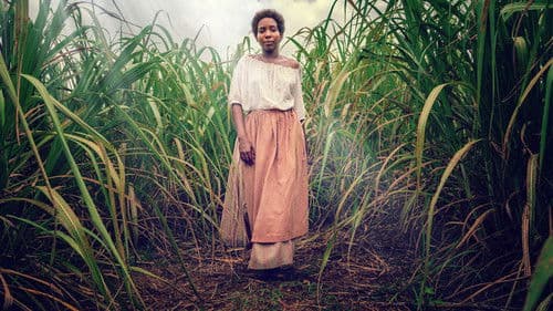 The Long Song Bild 4