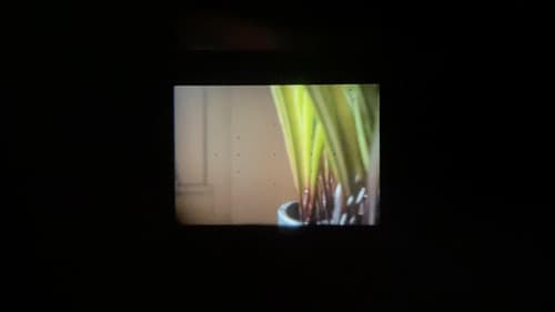 Catching The Bus Bild 3