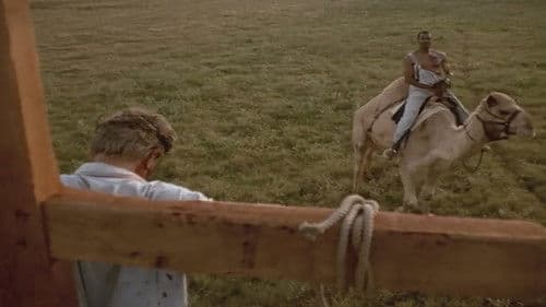 Texas Story Bild 6