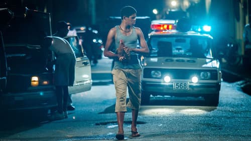 Der König von Havanna Bild 7