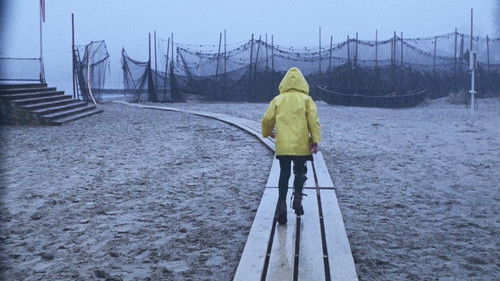 A Day at the Beach Bild 7