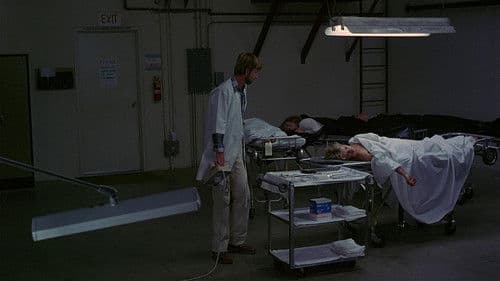 Nur Tote überleben Bild 2